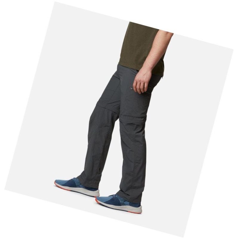 Columbia Silver Ridge Convertible Pantolon Erkek Koyu Gri | 98257-HANS