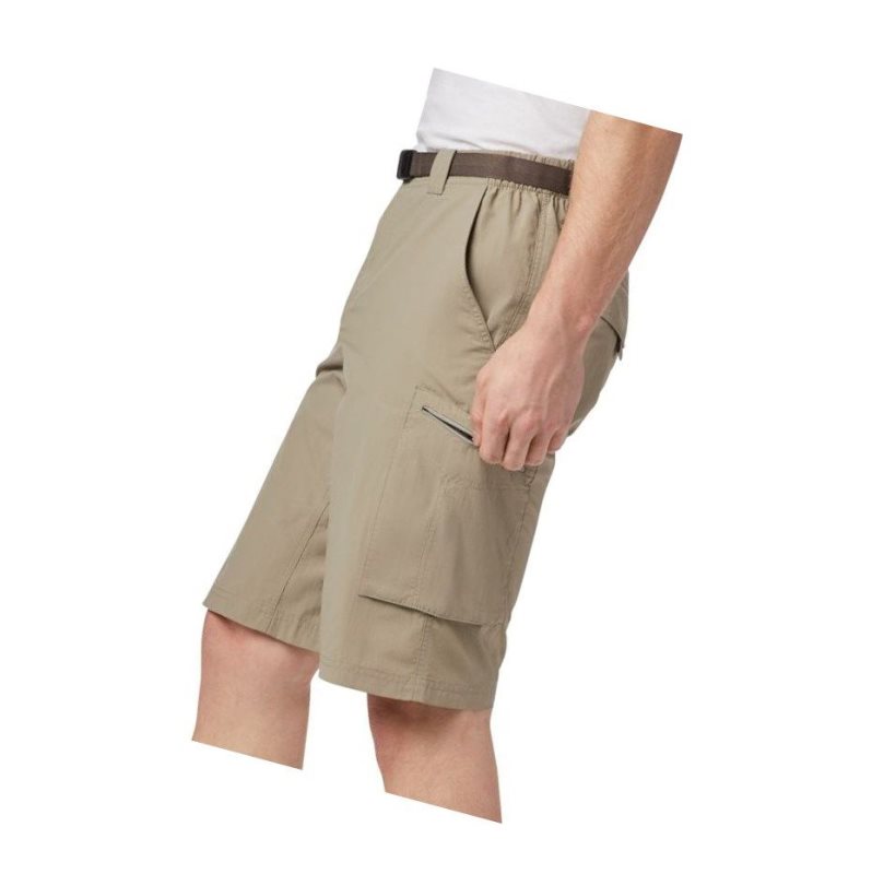 Columbia Silver Ridge Convertible Pantolon Erkek Kahverengi | 12906-UQTF