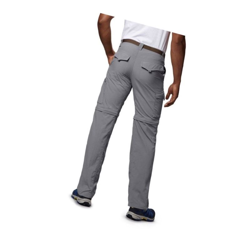 Columbia Silver Ridge Convertible Pantolon Erkek Gri | 97628-ZLFQ