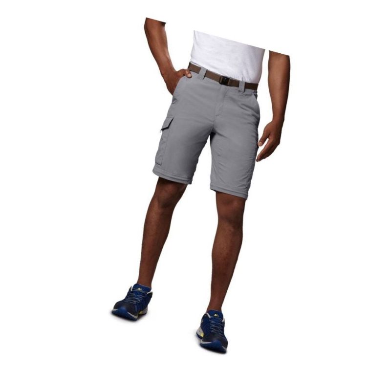 Columbia Silver Ridge Convertible Pantolon Erkek Gri | 97628-ZLFQ