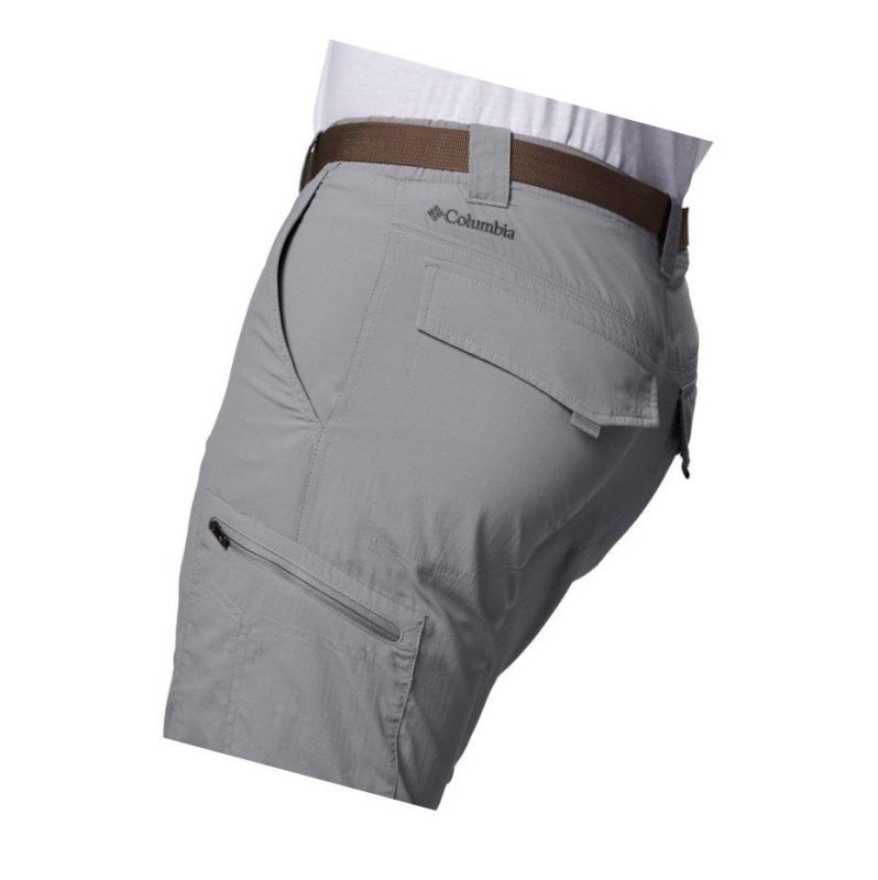 Columbia Silver Ridge Convertible Pantolon Erkek Gri | 97628-ZLFQ