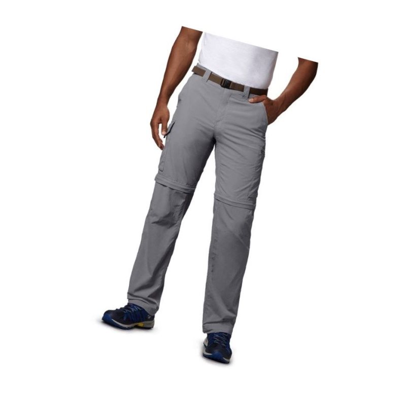 Columbia Silver Ridge Convertible Pantolon Erkek Gri | 97628-ZLFQ