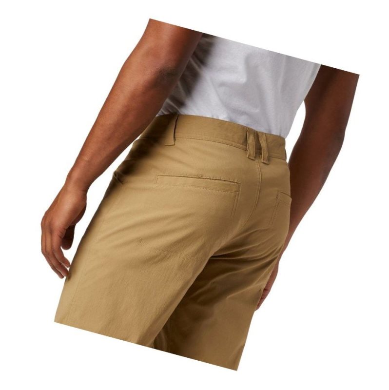 Columbia Silver Ridge II Stretch Big Pantolon Erkek Kahverengi | 54869-OBCI