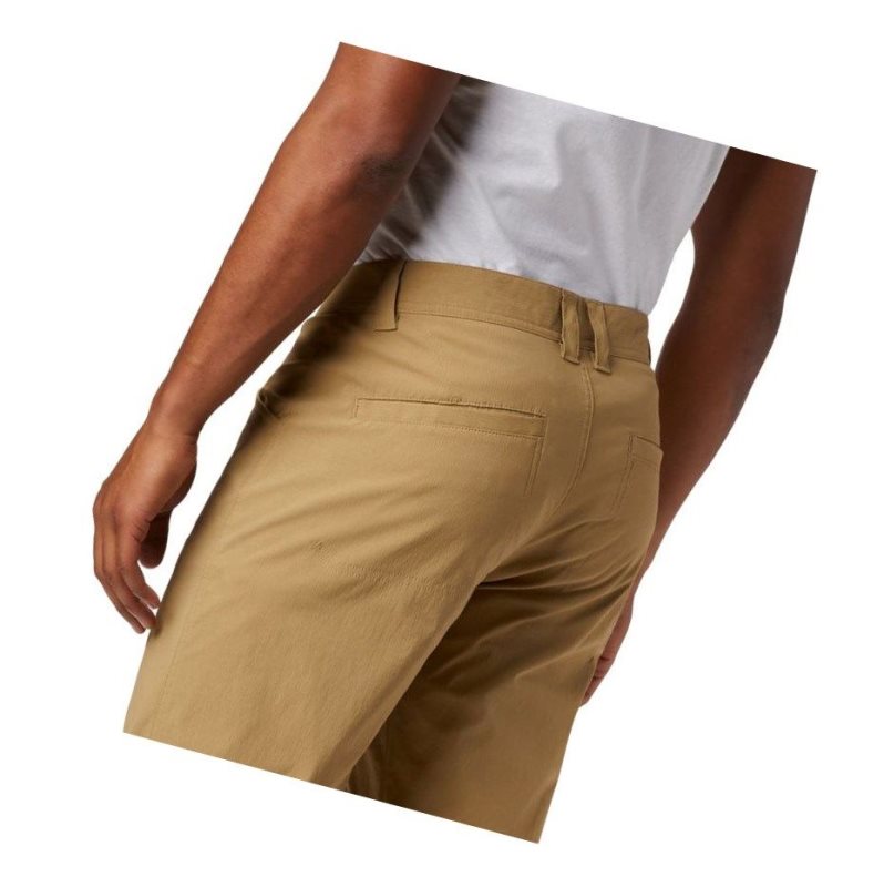 Columbia Silver Ridge II Stretch Pantolon Erkek Kahverengi | 50486-DCEP