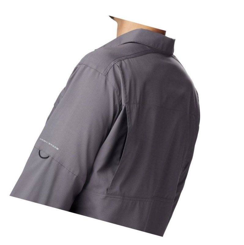 Columbia Silver Ridge Lite Long Sleeve Gömlek Erkek Gri | 69420-UZWA