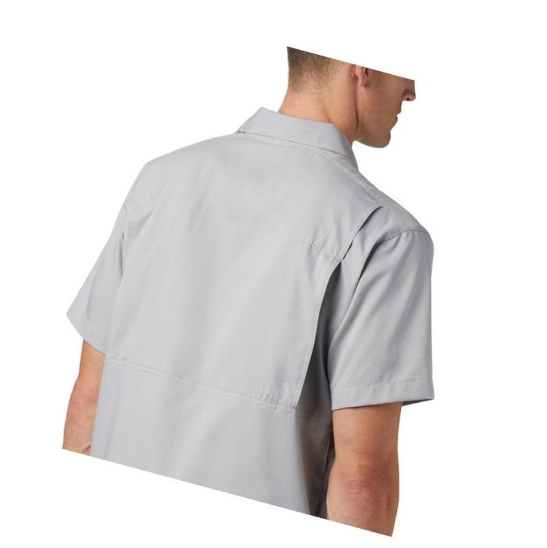 Columbia Silver Ridge Lite Short Sleeve Gömlek Erkek Gri | 76829-CBRT