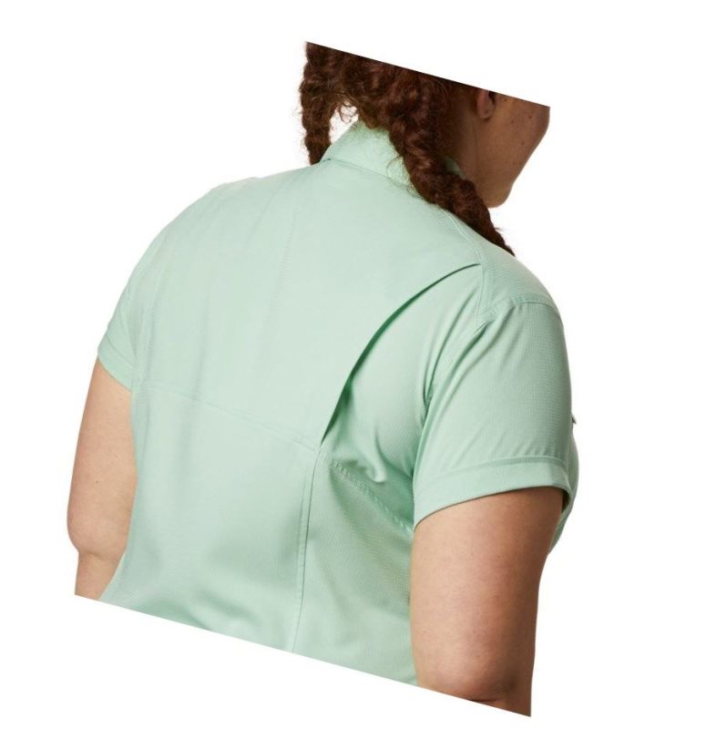 Columbia Silver Ridge Lite Short Sleeve Plus Size Gömlek Kadın Nane | 95812-JYAX