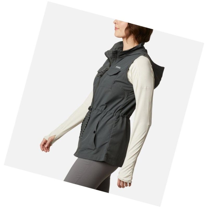 Columbia Silver Ridge Yelek Kadın Renkli | 10483-NEYW