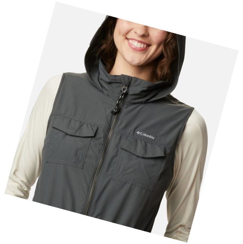Columbia Silver Ridge Yelek Kadın Renkli | 10483-NEYW