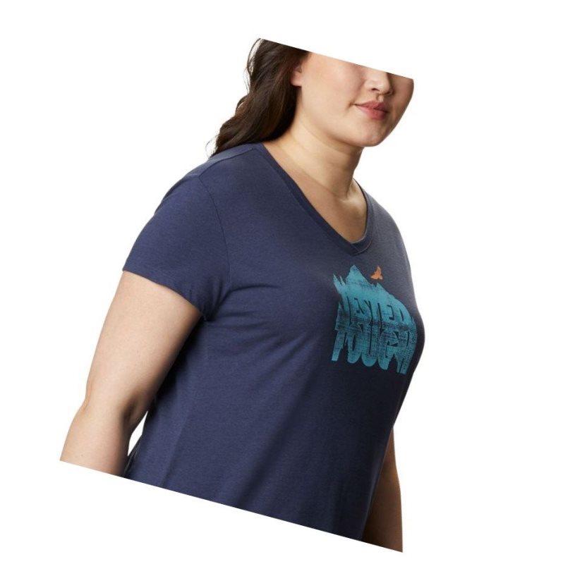Columbia Solar Shield Graphic Plus Size Tişört Kadın Lacivert | 79654-AZJG