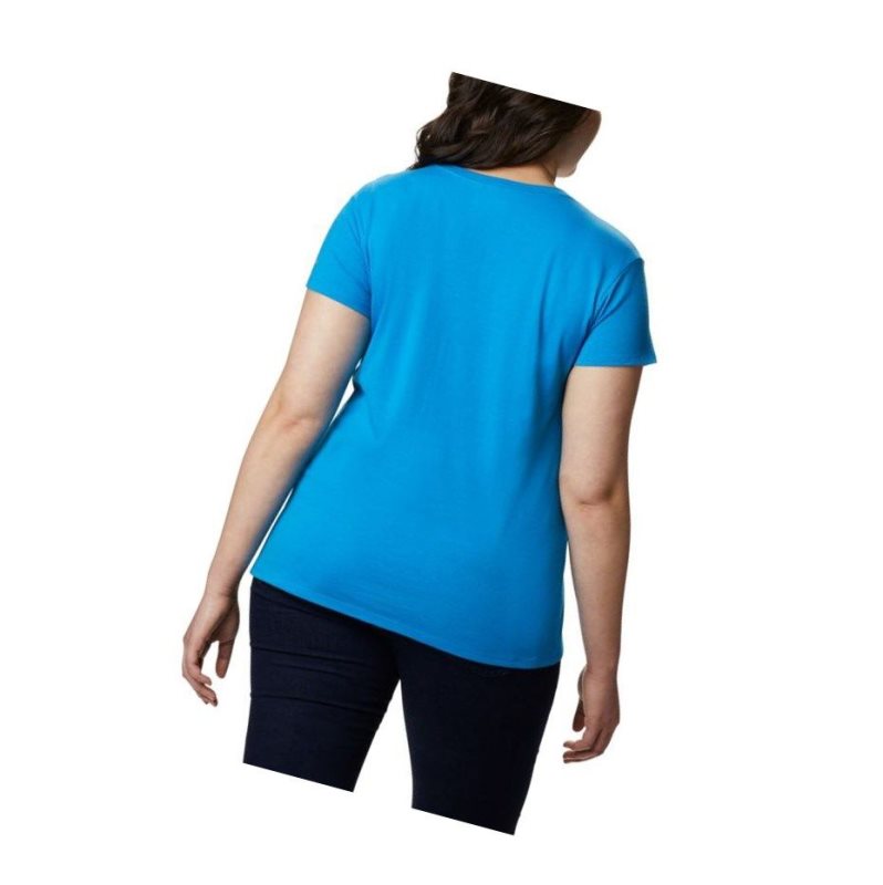 Columbia Solar Shield Graphic Plus Size Tişört Kadın Mavi | 24617-SJQX