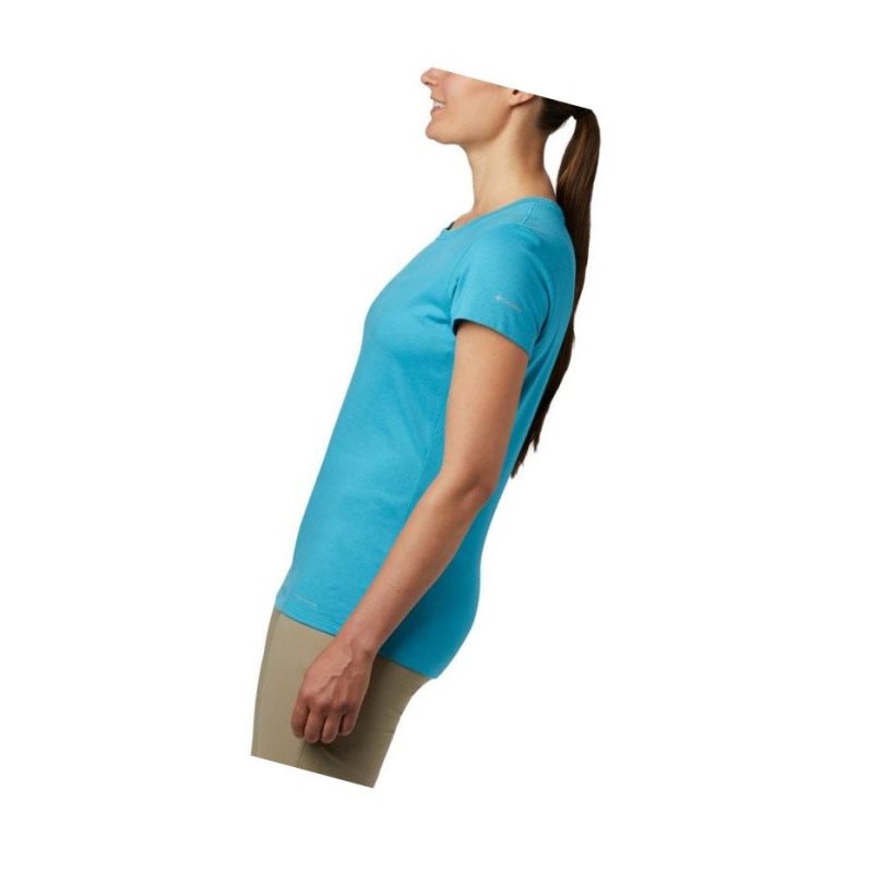 Columbia Solar Shield Short Sleeve Plus Size Tişört Kadın Mavi | 35710-YCLT