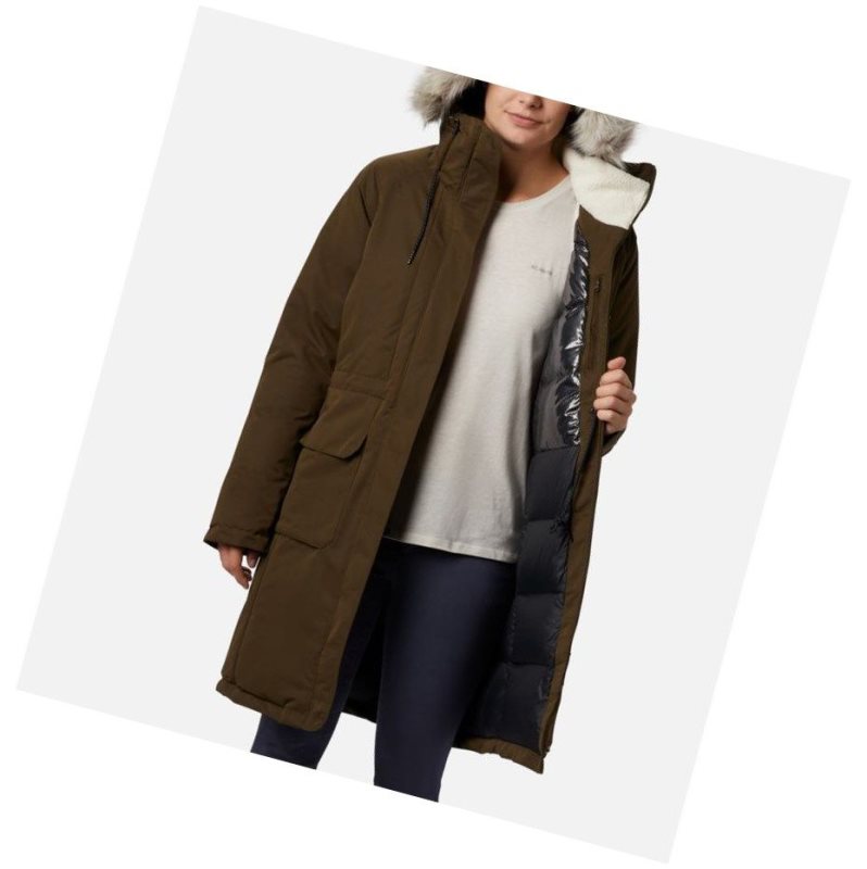 Columbia South Canyon Down Parka Mont Kadın Zeytin Yeşili | 92580-WGKS