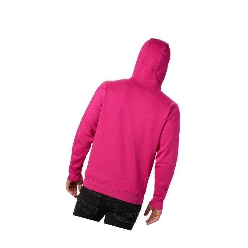 Columbia South Lake Logo Kapşonlu Erkek Pembe | 08315-TPBW