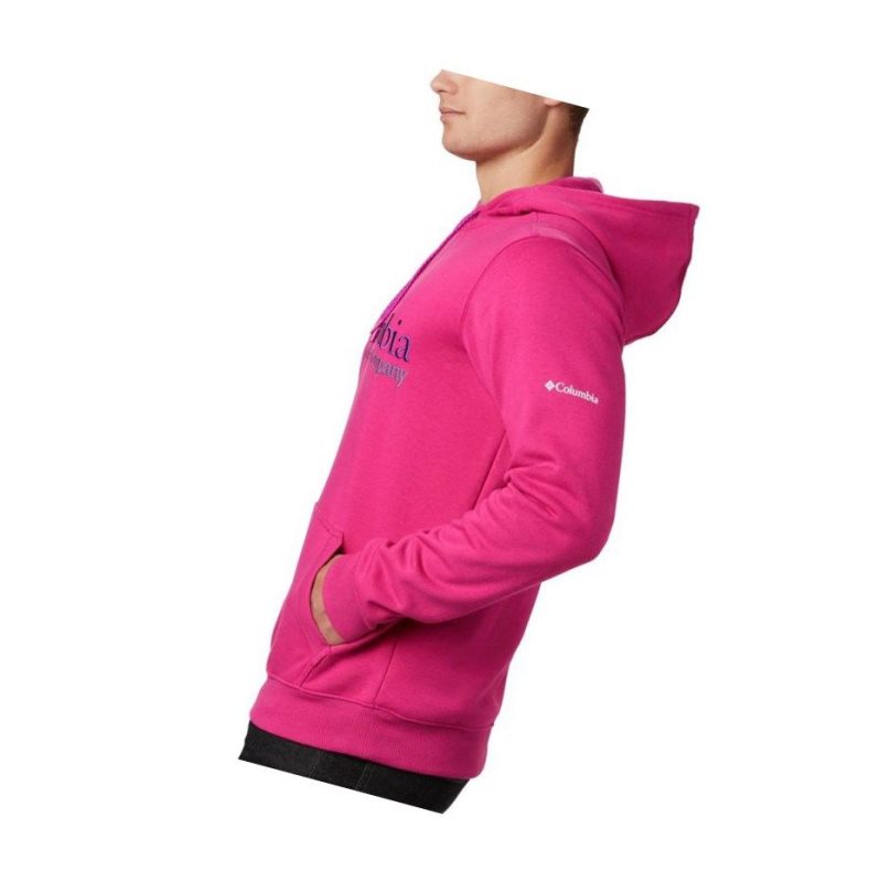 Columbia South Lake Logo Kapşonlu Erkek Pembe | 08315-TPBW