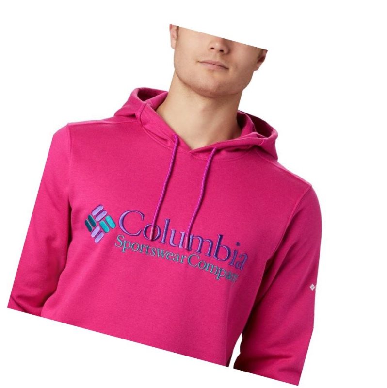 Columbia South Lake Logo Kapşonlu Erkek Pembe | 08315-TPBW