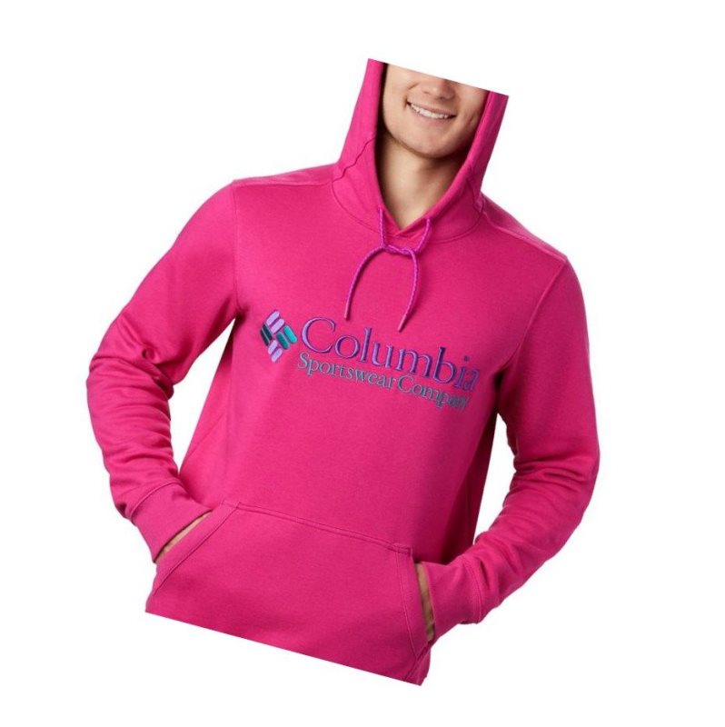 Columbia South Lake Logo Kapşonlu Erkek Pembe | 08315-TPBW