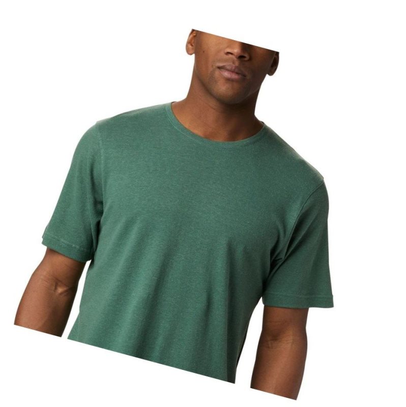 Columbia Summer Chill Short Sleeve Tişört Erkek Yeşil | 10968-FQEN
