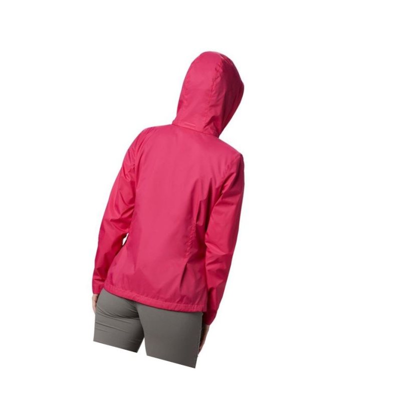 Columbia Switchback III Mont Kadın Pembe | 30654-ZELV