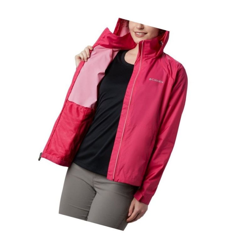 Columbia Switchback III Mont Kadın Pembe | 30654-ZELV