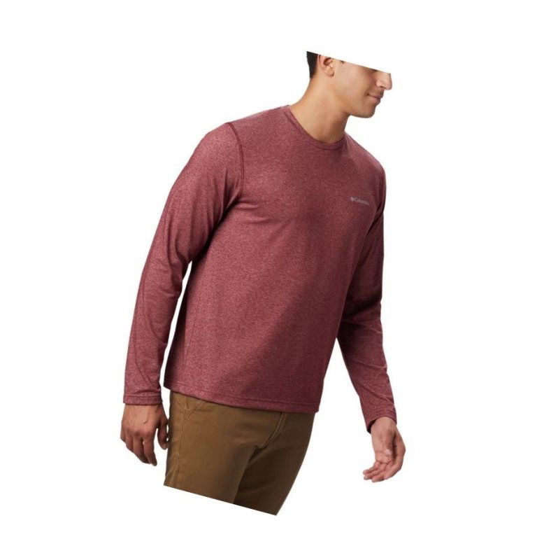 Columbia Thistletown Park Crew Neck Long Sleeve Sweatshirt Erkek Kırmızı | 38091-BJCG