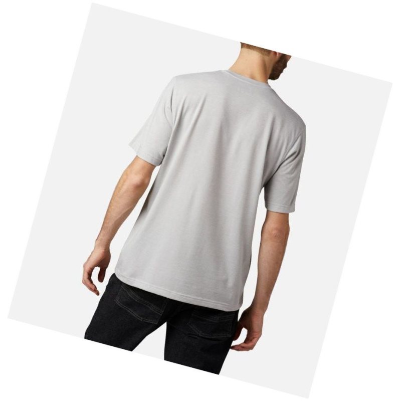 Columbia Thistletown Park Crew Tall Tişört Erkek Gri | 93487-ZORA