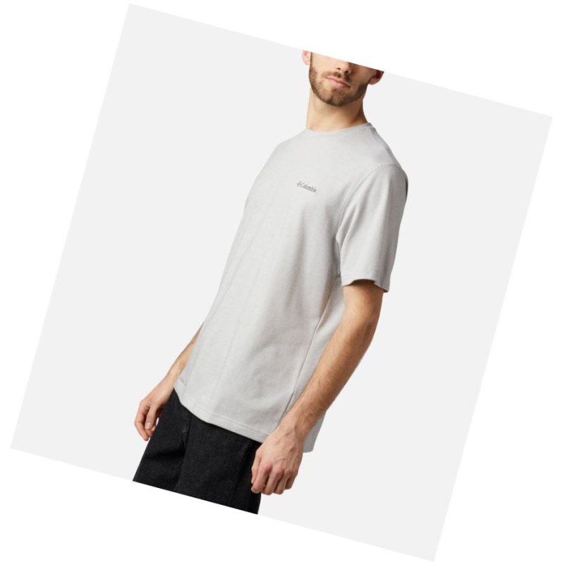 Columbia Thistletown Park Crew Tall Tişört Erkek Gri | 93487-ZORA