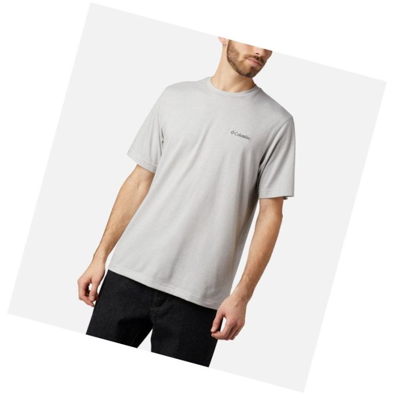 Columbia Thistletown Park Crew Tall Tişört Erkek Gri | 93487-ZORA