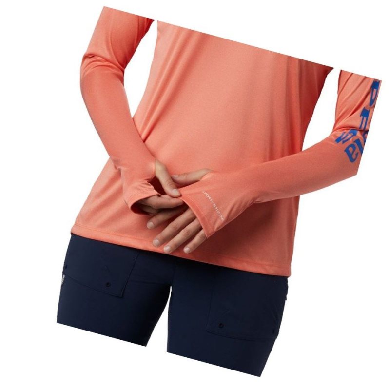 Columbia Tidal Heather Plus Size Kapşonlu Kadın Mavi | 34568-AVTP
