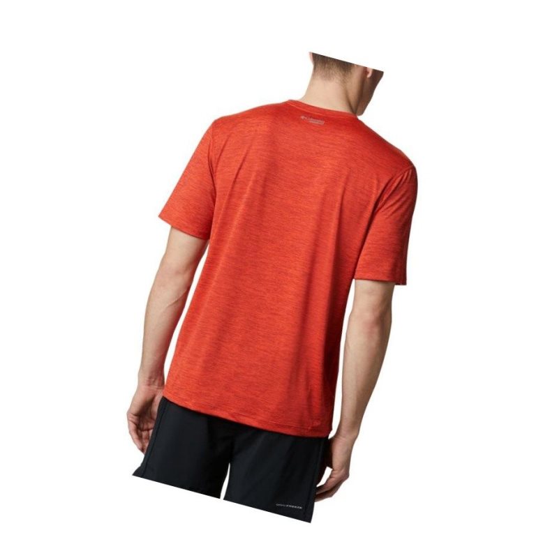 Columbia Trinity Trail Graphic Tişört Erkek Bordo | 70285-VJCS