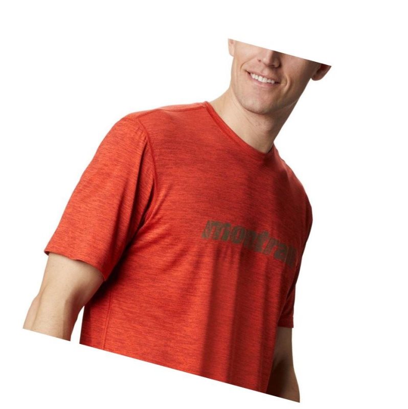 Columbia Trinity Trail Graphic Tişört Erkek Bordo | 70285-VJCS