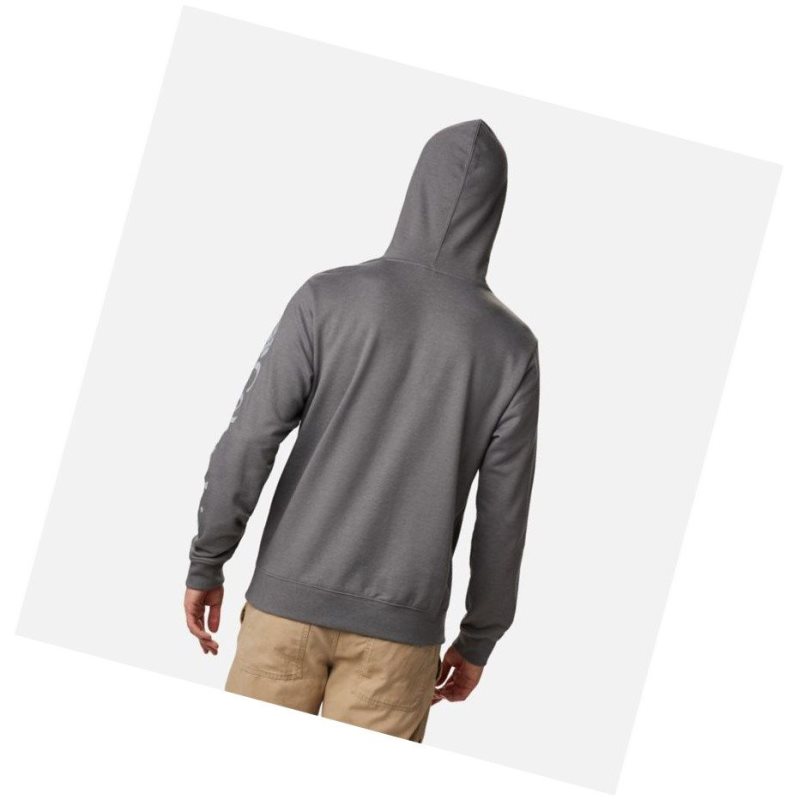 Columbia Viewmont II Sleeve Graphic Kapşonlu Erkek Gri | 74238-BXFV