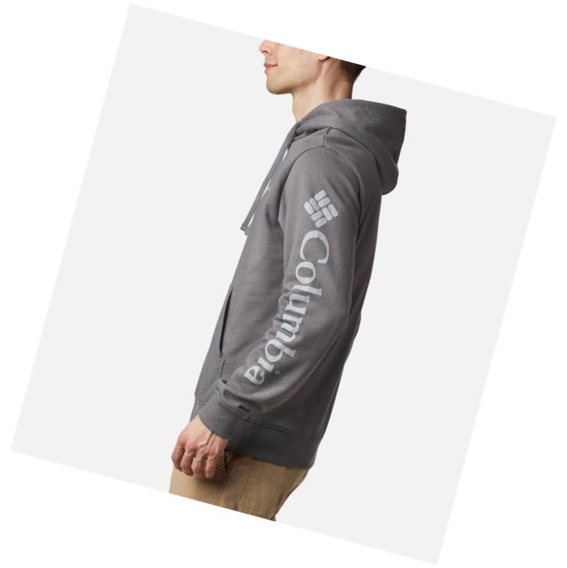 Columbia Viewmont II Sleeve Graphic Kapşonlu Erkek Gri | 74238-BXFV