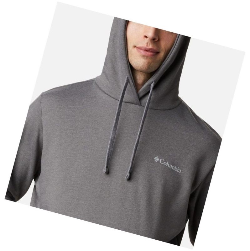 Columbia Viewmont II Sleeve Graphic Kapşonlu Erkek Gri | 74238-BXFV