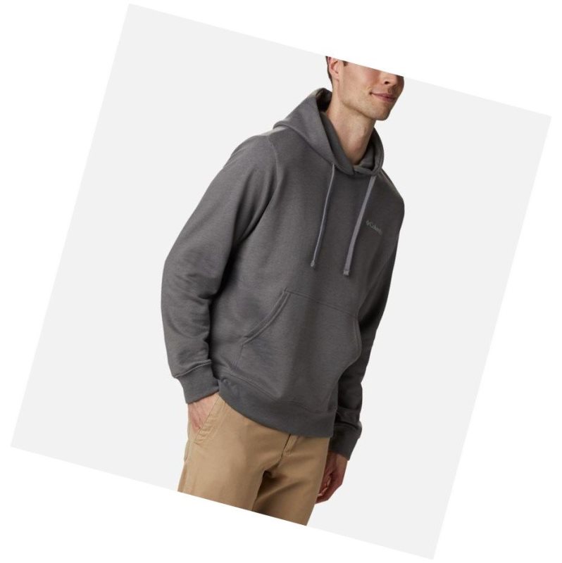 Columbia Viewmont II Sleeve Graphic Kapşonlu Erkek Gri | 74238-BXFV