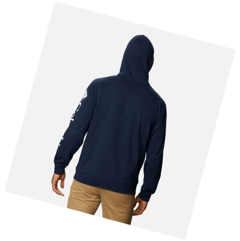 Columbia Viewmont II Sleeve Graphic Tall Kapşonlu Erkek Beyaz | 54629-YRHI