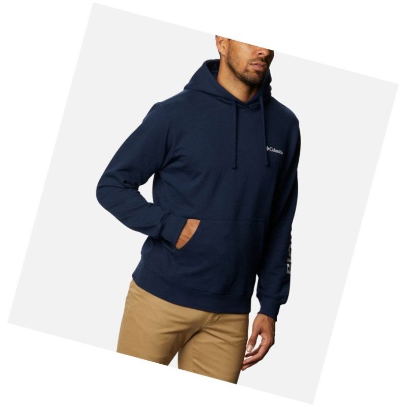 Columbia Viewmont II Sleeve Graphic Tall Kapşonlu Erkek Beyaz | 54629-YRHI