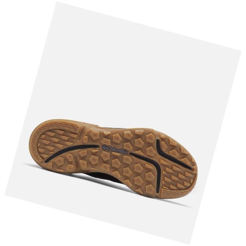 Columbia Vitesse Slip Spor Ayakkabı Kadın Siyah Mor | 70841-DKPI