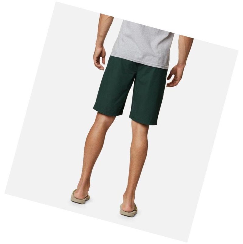 Columbia Washed Out Big Şort Erkek Yeşil | 84120-TREP