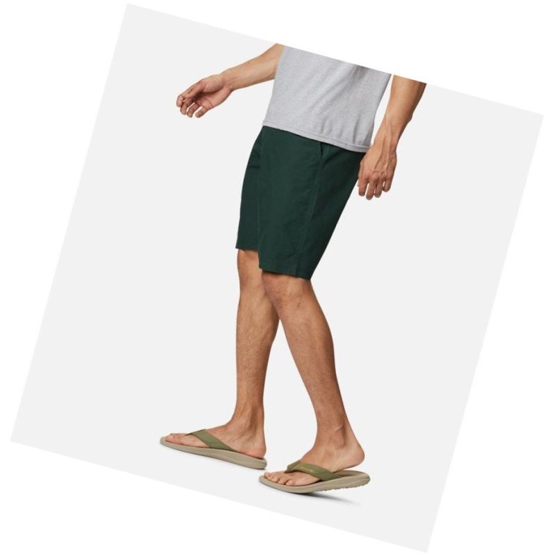 Columbia Washed Out Big Şort Erkek Yeşil | 84120-TREP