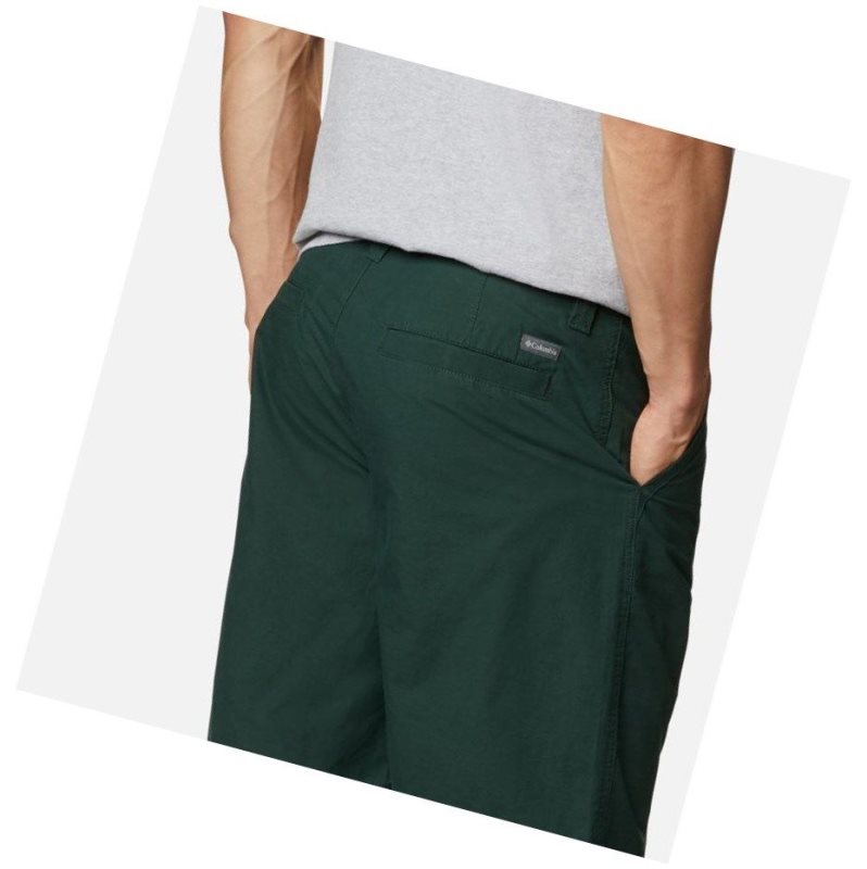 Columbia Washed Out Big Şort Erkek Yeşil | 84120-TREP