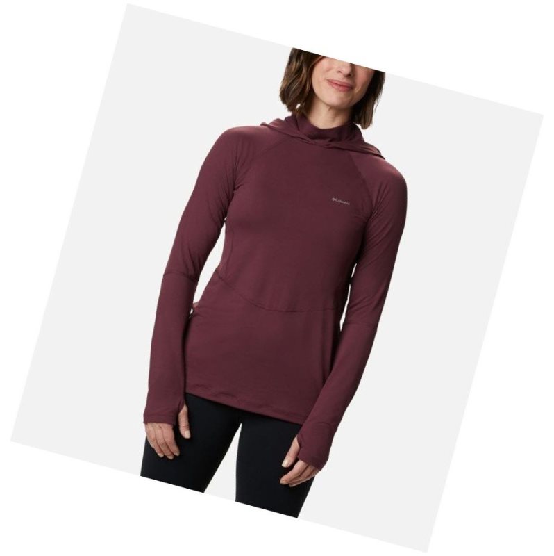 Columbia Winter Power Hooded Knit Kapşonlu Kadın Bordo | 72493-OJXC