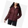 Bordo
