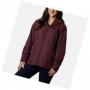 Bordo